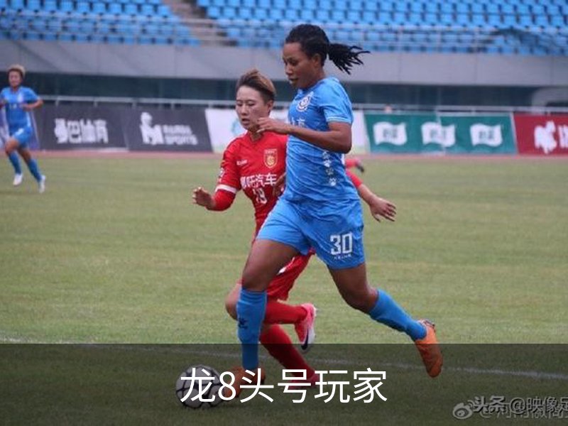 走进龙8头号玩家